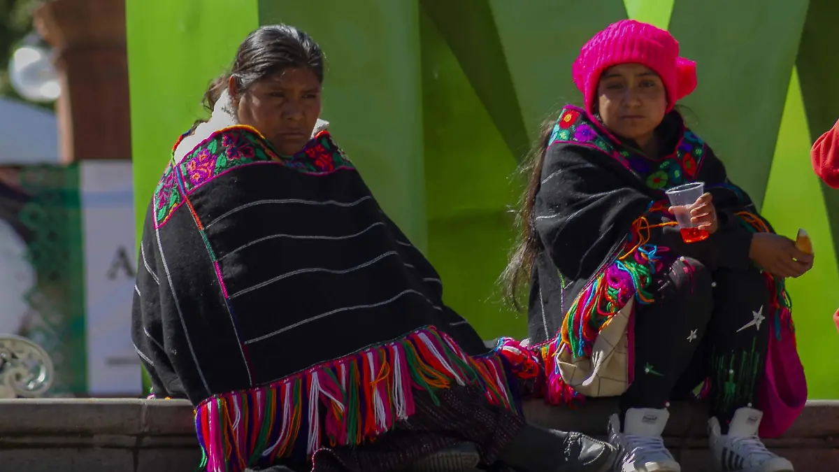 Consideró que la violencia de género en las zonas indígenas es una problemática que deben erradicarse.